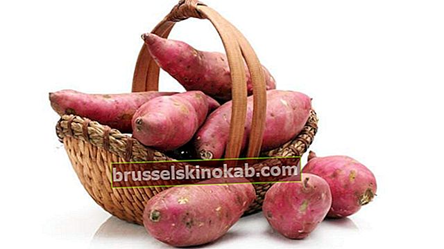 15 fordele ved søde kartofler, du har brug for at vide